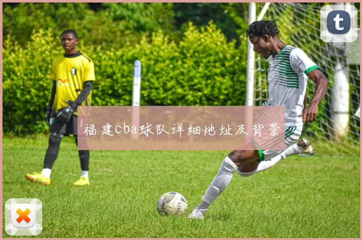 福建cba球队详细地址及背景