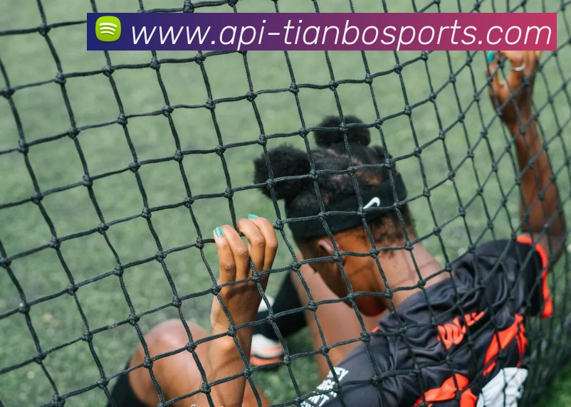 天博app平台生态图